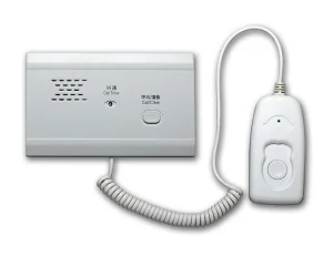 Embedded Extension