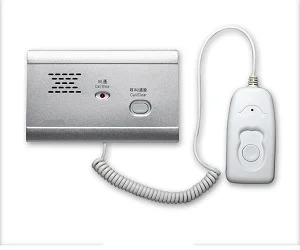 Embedded Extension