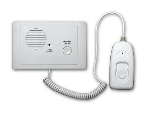 Embedded Extension