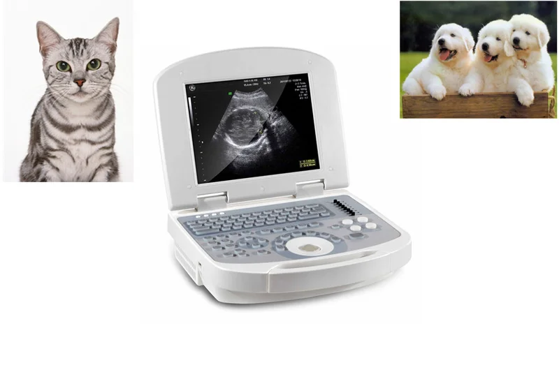 Laptop VET Ultrasound Scanner